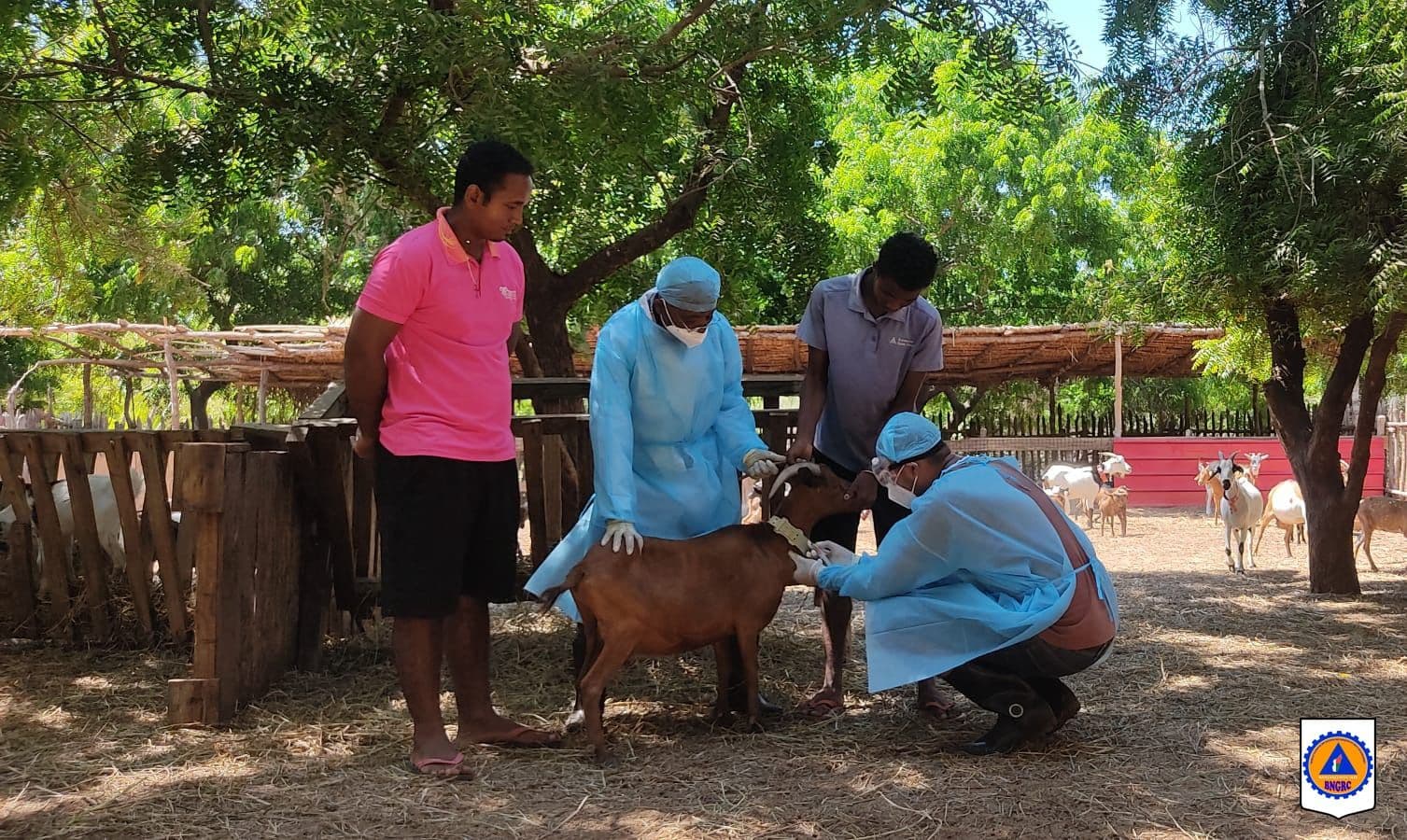 PRÉPARATION AUX URGENCES SANITAIRES : LANCEMENT D’UN SIMEX DE GRANDE ENVERGURE À TOLIARA