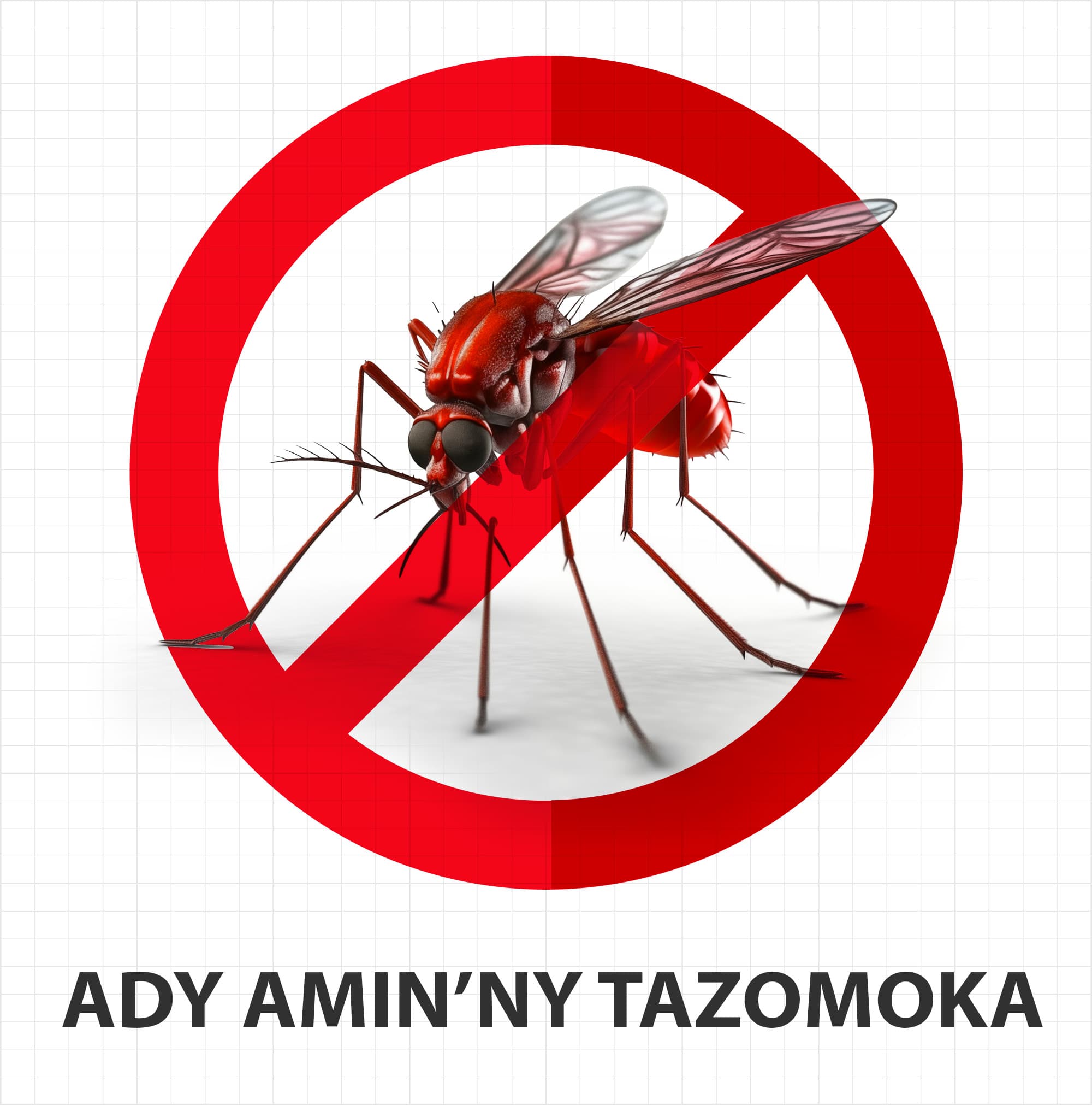 ADY AMIN'NY TAZOMOKA